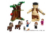 Outlet Sale LEGO Harry Potter™ Forbidden Forest: Umbridge's Encounter