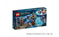 Outlet Sale LEGO Harry Potter™ Expecto Patronum