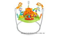 Clearance Sale Fisher-Price Roaring Rainforest Baby Jumperoo