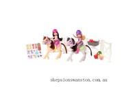 Clearance Sale Barbie Club Chelsea Dolls and Ponies Playset