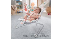 Discounted Fisher-Price Sweet Summer Blossoms Baby Bouncer