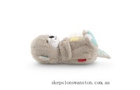 Special Sale Fisher-Price Soothe 'n' Snuggle Otter