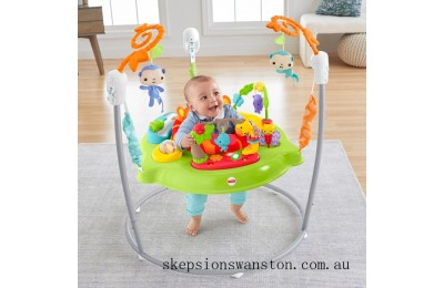 Clearance Sale Fisher-Price Roaring Rainforest Baby Jumperoo
