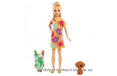 Clearance Sale Barbie and Chelsea The Lost Birthday - Stacie Doll and Accessories