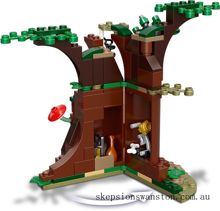 Outlet Sale LEGO Harry Potter™ Forbidden Forest: Umbridge's Encounter