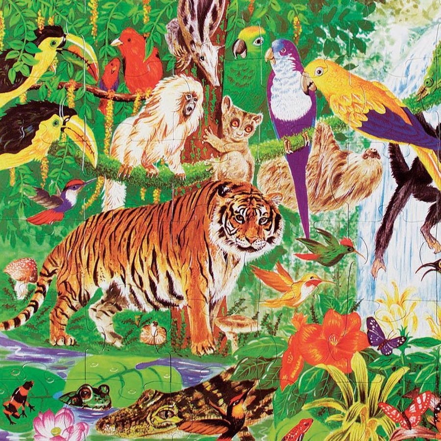 Discounted Melissa And Doug Rainforest Floor Puzzle 48pc