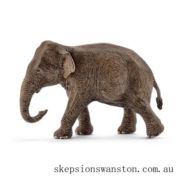 Discounted Schleich Asian Elephant Female
