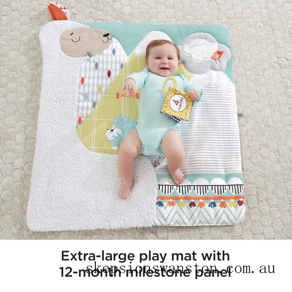 Clearance Sale Fisher-Price Perfect Sense Deluxe Gym Baby Play Mat