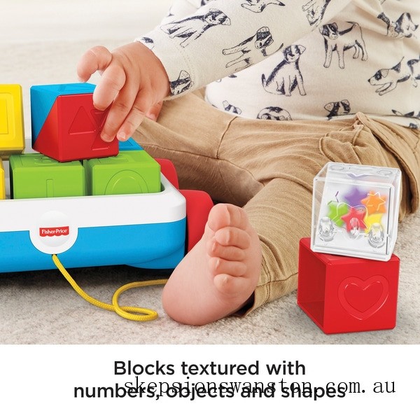 Clearance Sale Fisher-Price Pull-Along Activity Blocks